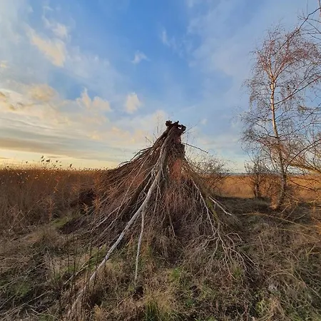 Marina Casa de Férias